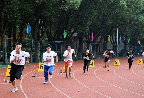 201811051802.jpg DSC_0272.jpg